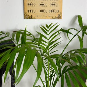 2026 Lunar Calendar: Moon Phases - Etsy