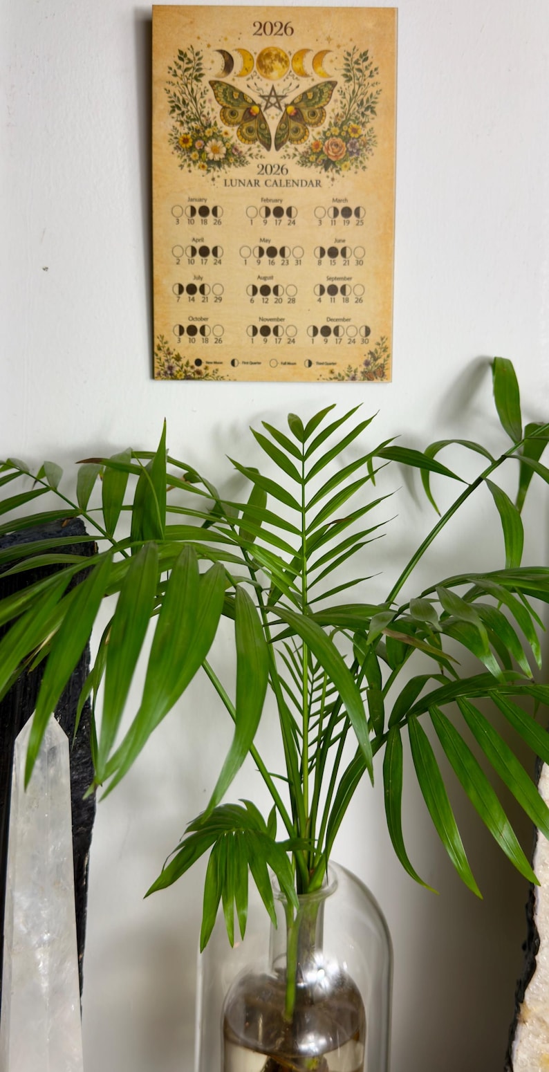 2026 Lunar Calendar: Moon Phases - Etsy