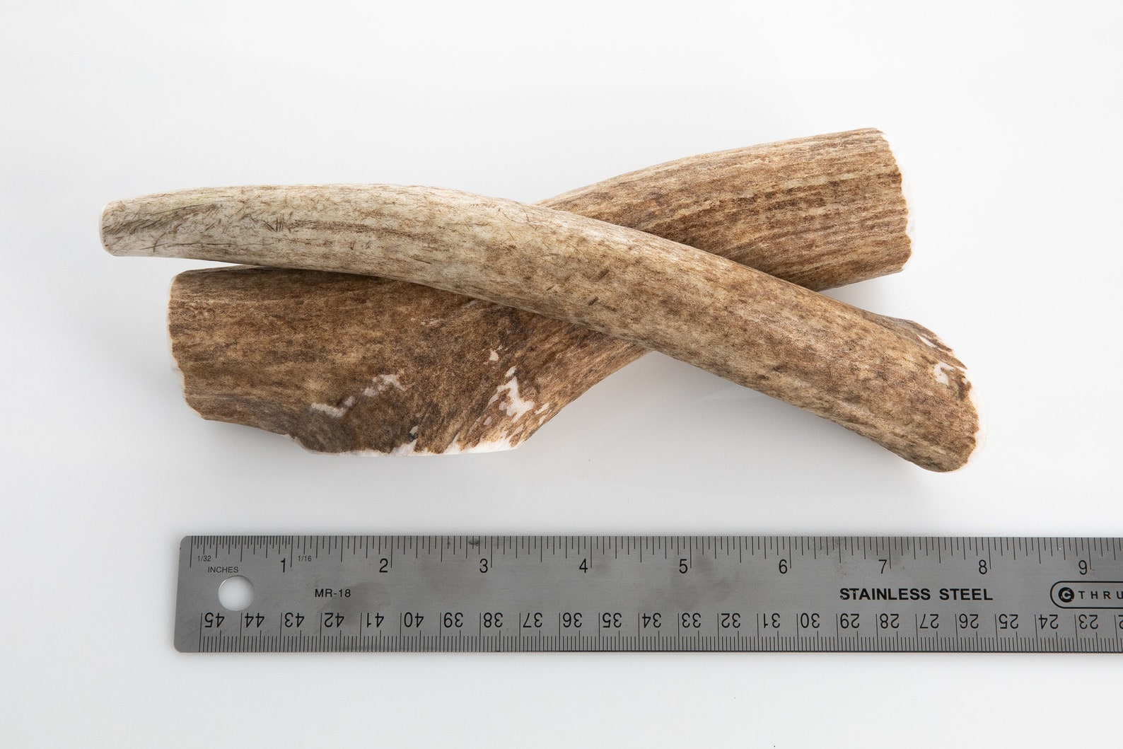 elk antler bone