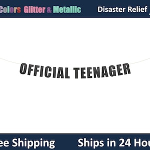 Official Teenager Banner - 13th Birthday, Teen Party Banner, Teen Birthday Party Decor, Birthday Party Banner Signs Decor