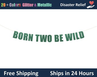 Born Two Be Wild Banner - zweiter wilder Geburtstag, dekorative Geburtstagsbanner, alles Gute zum 2. Geburtstag, wilde Themenparty Banner Schilder Dekor
