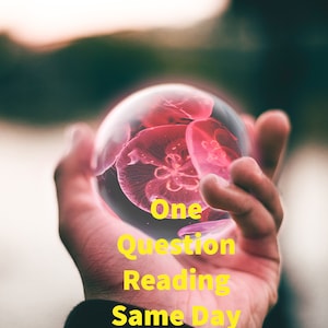 One Burning Question Psychic Reading--Digital Same Day Question Reading On Any Topic