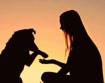 Accurate Clairvoyant/Psychic Pet Reading