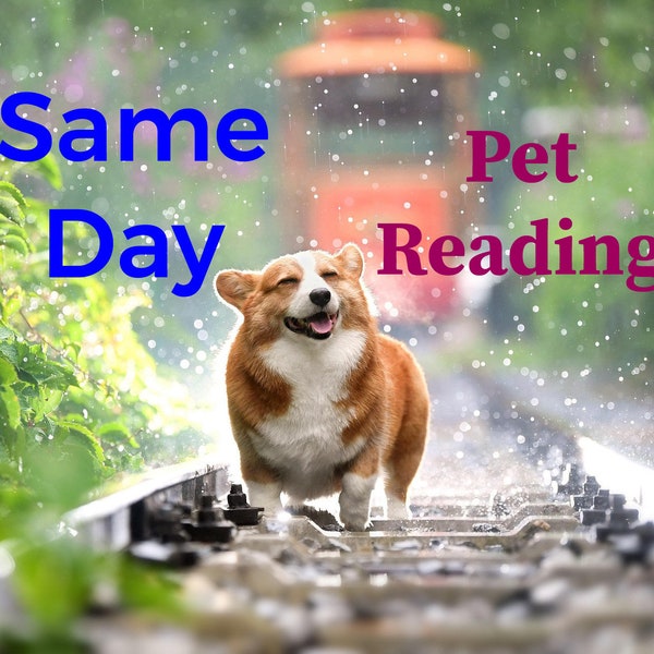 PET Same Day PSYCHIC READING For Pet Lover Gift – Spiritual Animal Psychic Love Reading