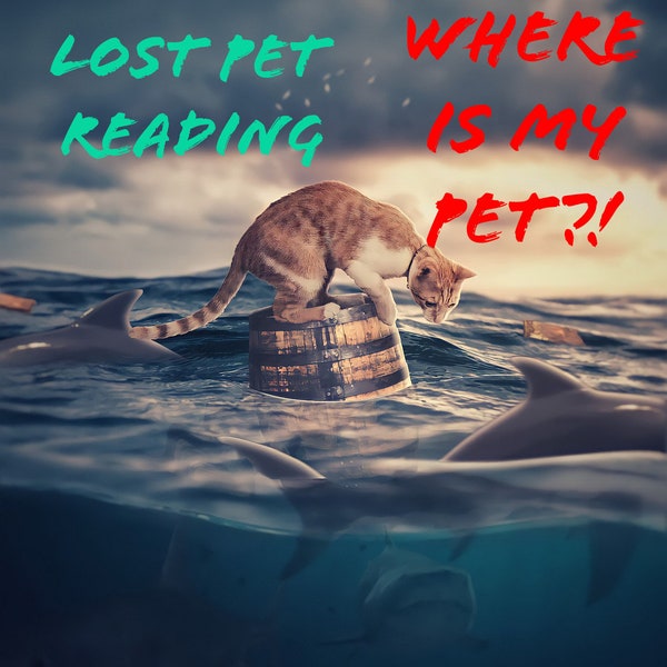 Lost/Missing Pet Psychic Reading Same Day