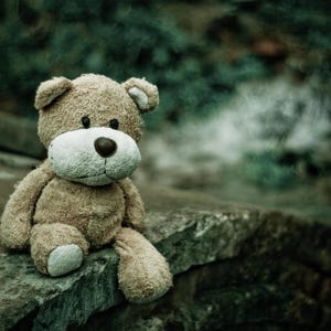 Puede incluir: Un oso de peluche de color marrón claro con una superficie texturizada y difusa, orejas pequeñas y redondeadas, un hocico blanco prominente y una nariz cosida de color marrón oscuro. El oso está sentado con los brazos a los lados.