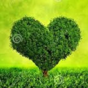 accurate psychic reading clairvoyant reading life path & soul's purpose psychic clairvoyant accurate psychic reading psychic reading.jpg