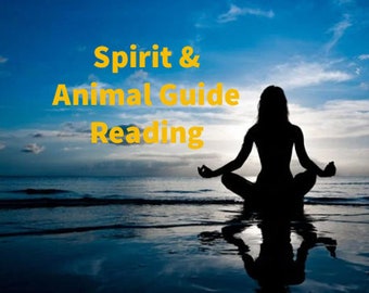 May include: A silhouette of a person meditating on a beach at sunset with the text "Spirit & Animal Guide Reading" in yellow.