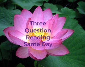 Three BURNING QUESTIONS Spiritual READING - Psychic Same Day Reading