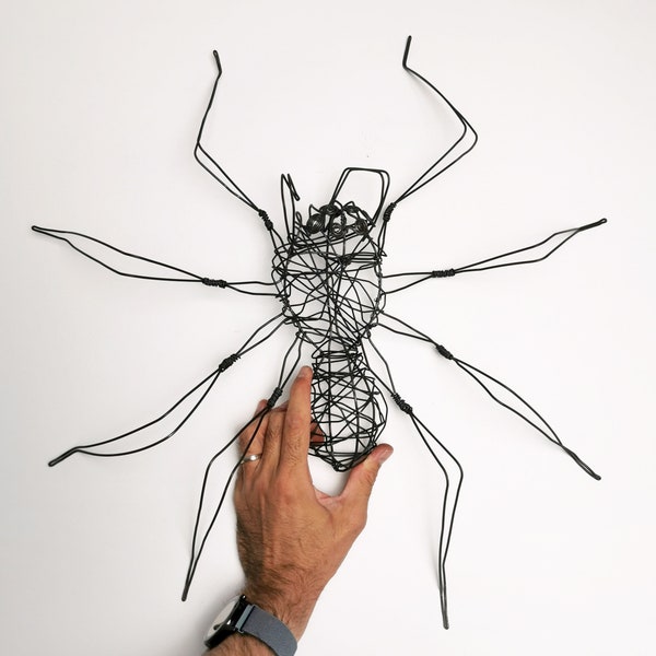 Annealed wire spider