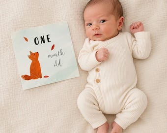Woodland Baby 14 Milestone Cards | Hand Drawn Baby Milestone Cards | Baby Photo Props | New Baby Gift | Baby Shower Gift | Safari theme