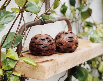 Aroma Pod Diffuser (Medium - 2 pack)