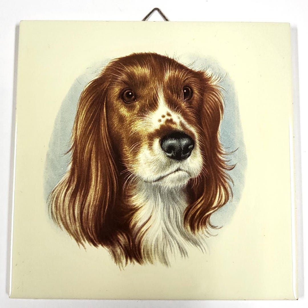 Vintage Grohn Germany Ceramic Tile – Springer Spaniel Dog – Wall Art ...