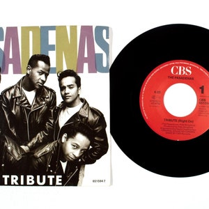 The Pasadenas – Tribute / I Believe 7" Vinyl NM/VG+