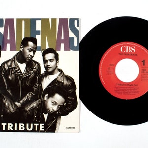 The Pasadenas – Tribute / I Believe 7" Vinyl NM/VG+