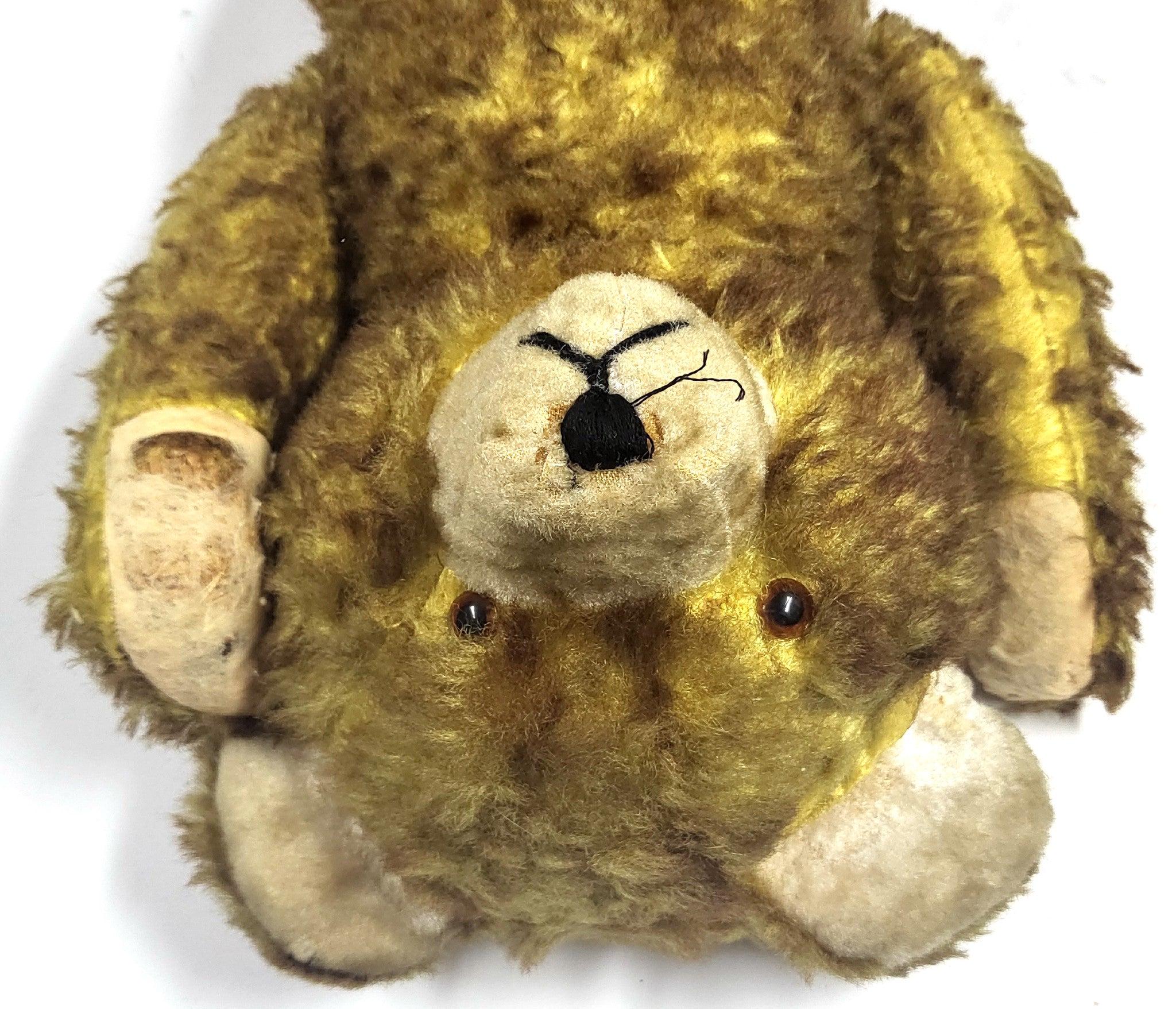 Grand Ours Peluche en livraison gratuite | Économisez 30% sur votre