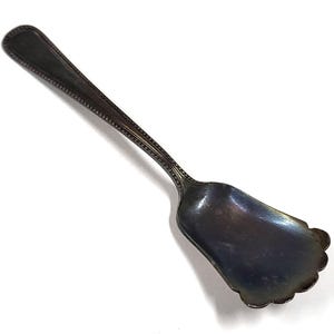 May include: A silver sugar spoon with a scalloped edge and a beaded handle.
