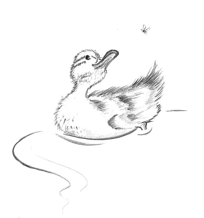 Hungry Ducklings Pencil Sketch, Printable Wall Art, Instant Download