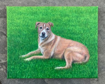 Custom Pet Portrait, Personalized Painting, Animal Art, Oil, Acrylic, Dog, Cat, Pet Lover Gift, Hand Painted, Original