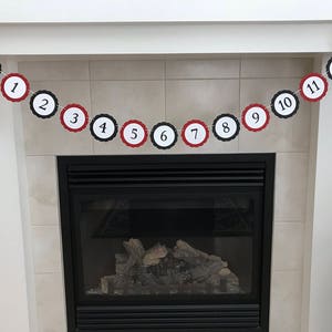 Ladybug First Year Photo Banner: NB-12 Month Birthday Display