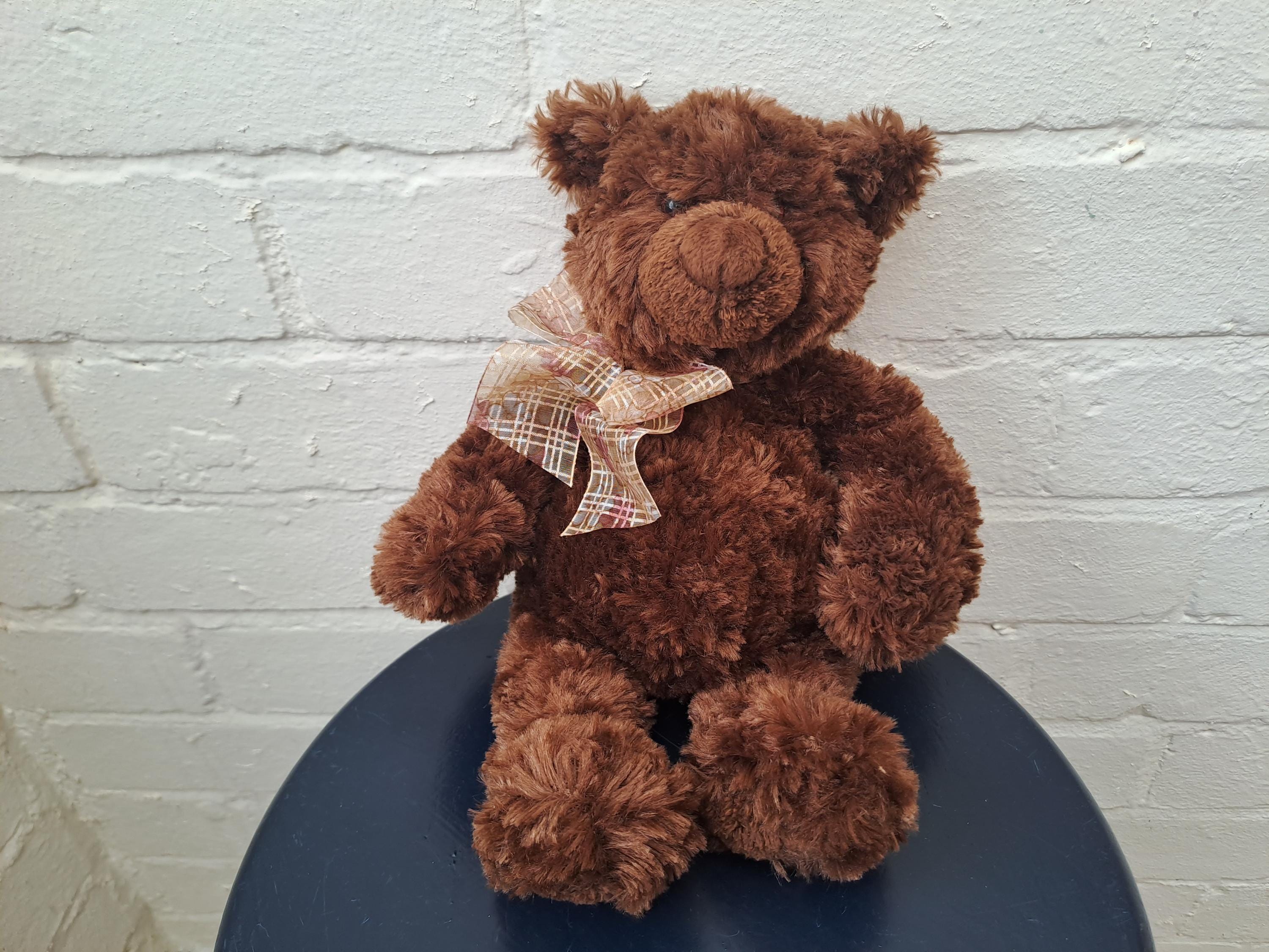 Gund Brown Bear - Etsy Canada