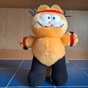 Rare Dakin 1981 Garfield the Cat Wrestler Vintage Stuffed Plush Toy.