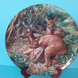 Large Coalport Roe Deer Keeping Watch 1992 by Mike Jackson Bone China Plate Limited Edition Number 24
