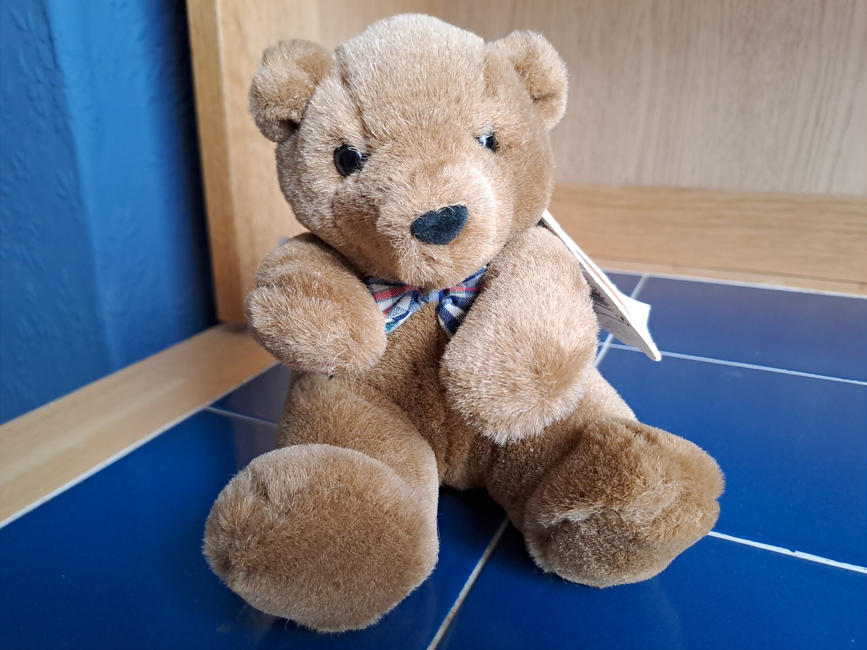 Marks spencer teddy - Etsy 日本