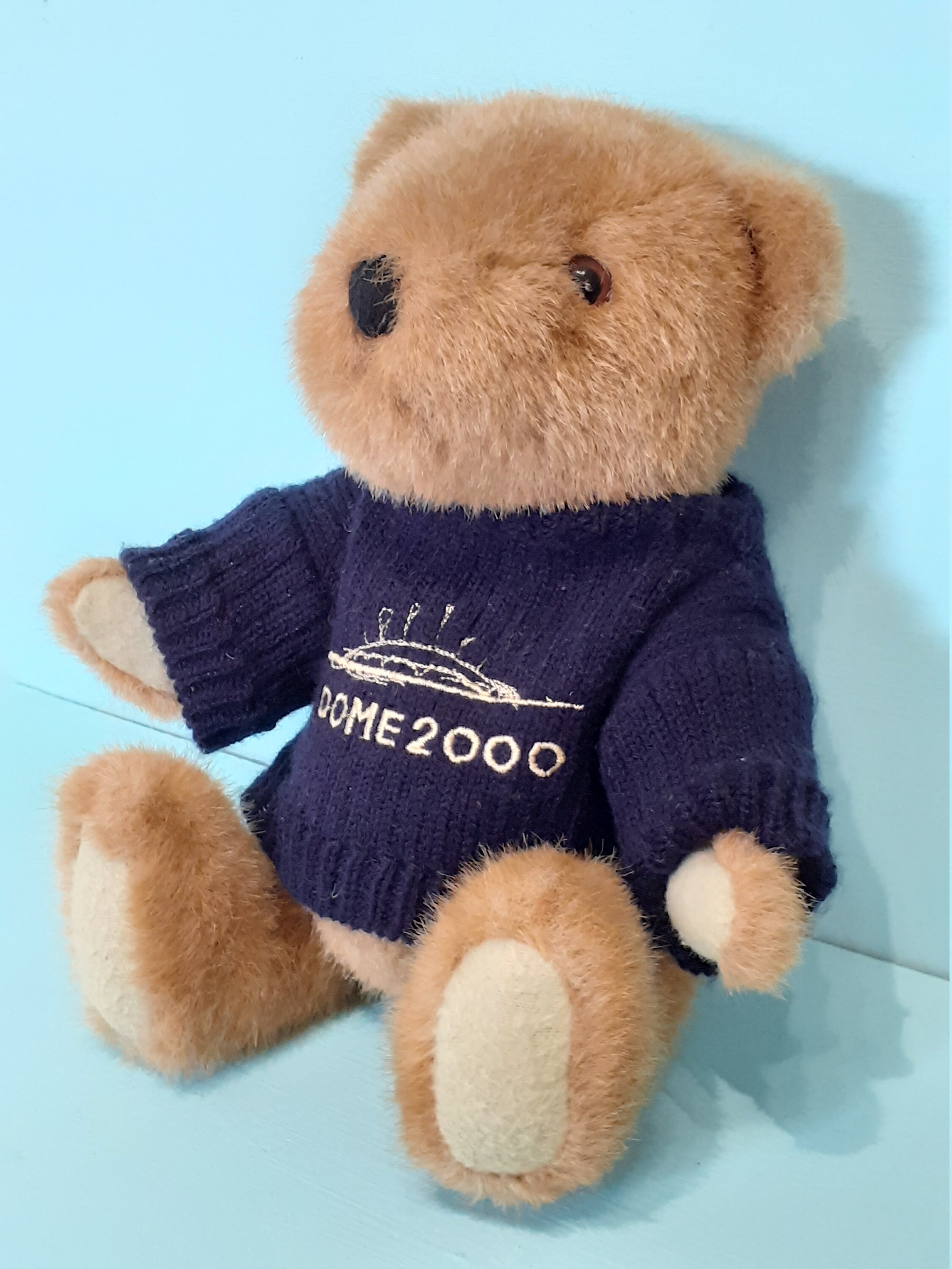 millenium 2000 collection teddy bear
