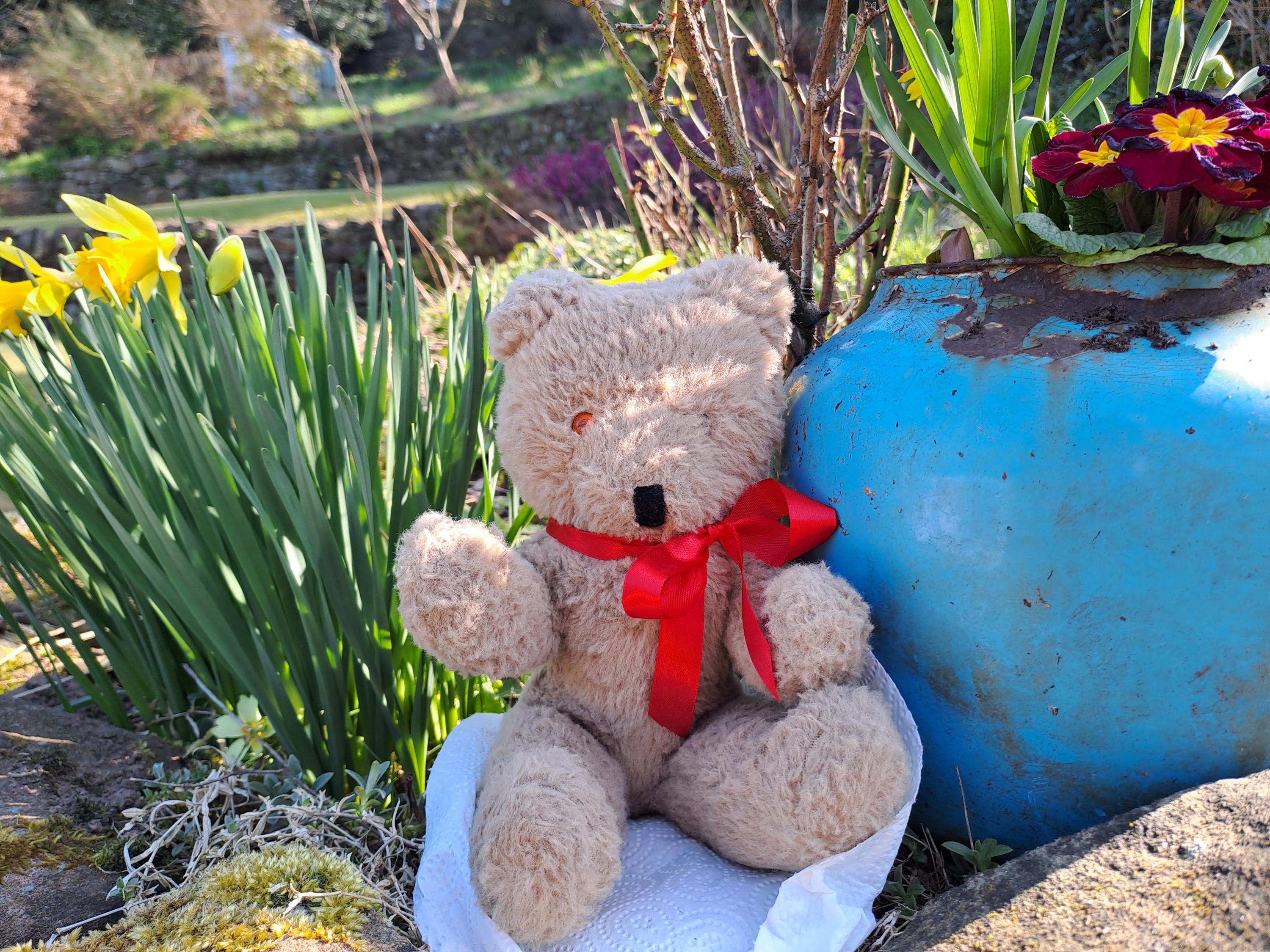 Wendy Boston Bear - Etsy