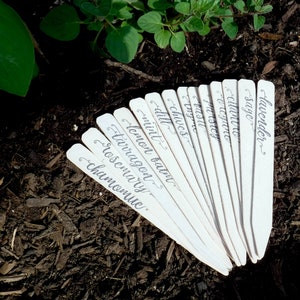 Rustic Herb Garden Markers: Biodegradable Wood Veggie Labels