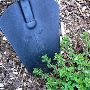 K&ouml;nnte beinhalten: Schwarzes Gartenwerkzeug mit einer Messskala in Zoll und Zentimetern. Das Werkzeug befindet sich neben einer gr&uuml;nen Pflanze mit kleinen Bl&auml;ttern.