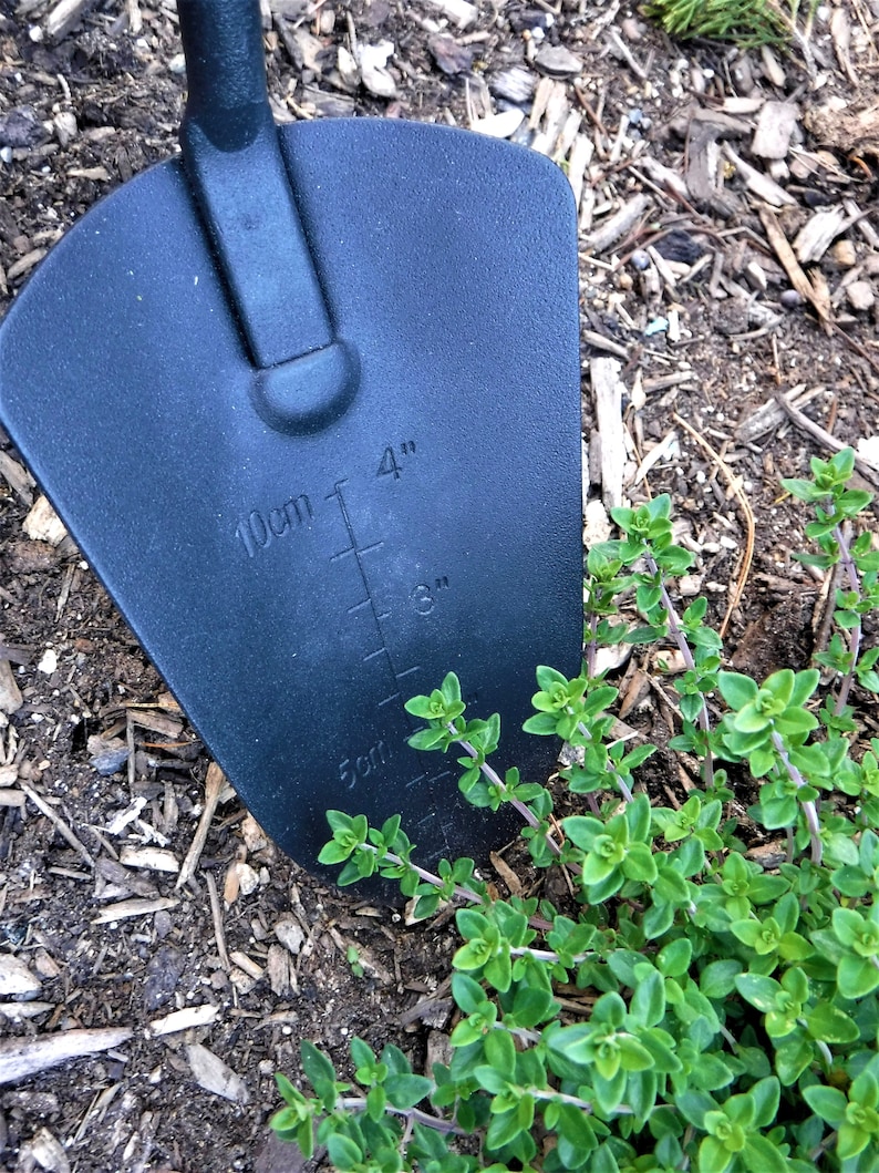 K&ouml;nnte beinhalten: Schwarzes Gartenwerkzeug mit einer Messskala in Zoll und Zentimetern. Das Werkzeug befindet sich neben einer gr&uuml;nen Pflanze mit kleinen Bl&auml;ttern.