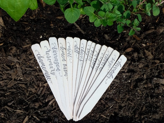 Gardening Accessories 6 x 5/8 Made in USA New Complete 14-Pack Eco-Friendly Farmhouse Decor Outdoor Indoor Herb Garden Stakes Plant Tags Garden Markers Plant Labels Gardening Gifts 
