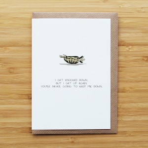 Carte tortue positive