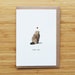 see more listings in the Animaux section