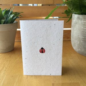 Ladybird Card Wildflower Seed Card