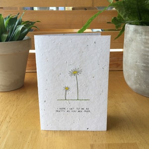 Mum Daisy Card Wildflower Seed Card