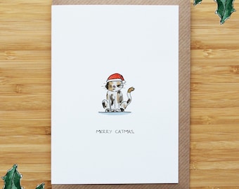 Merry Catmas Christmas Card