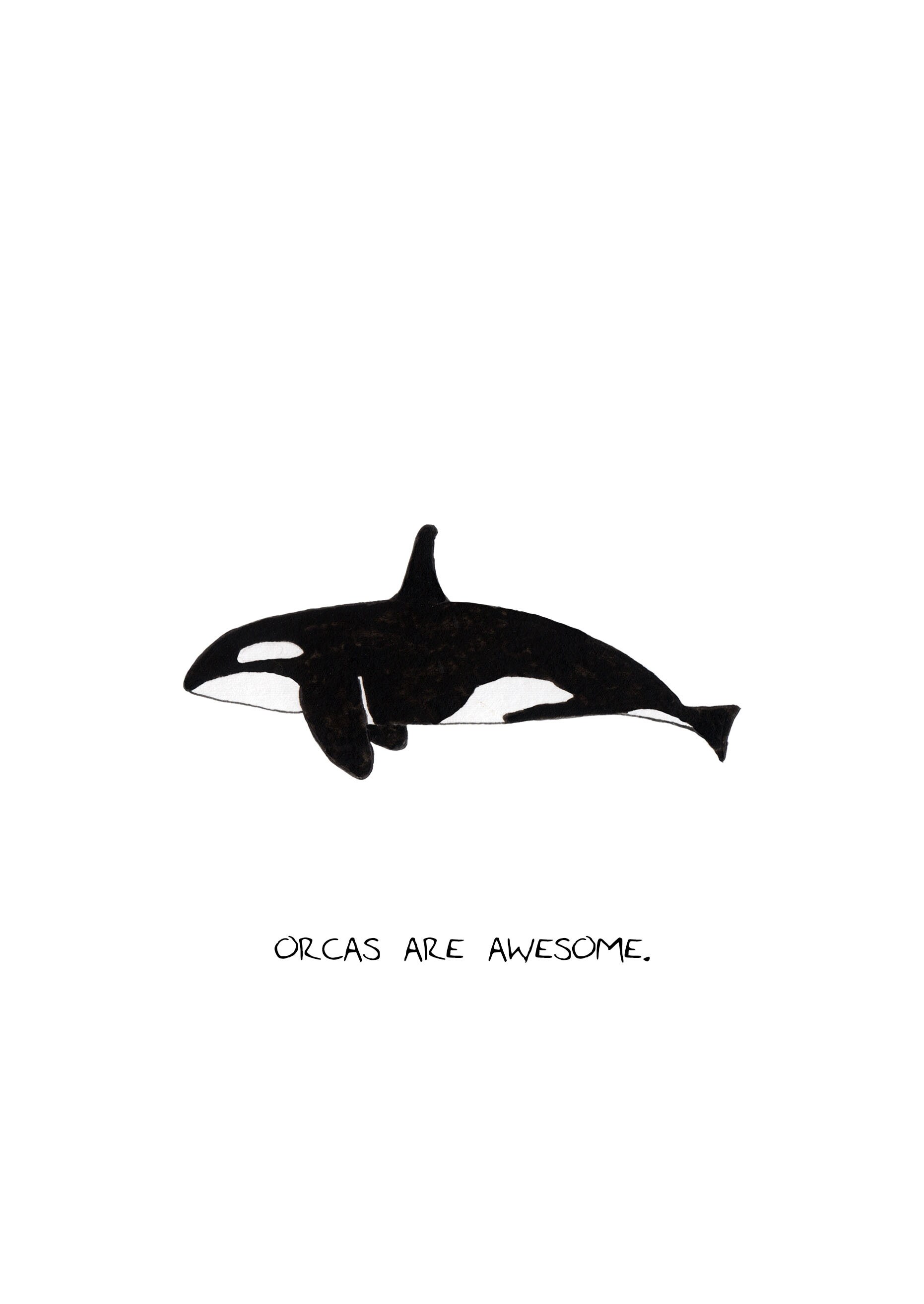 Orca Card or Print Etsy