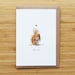 see more listings in the Animaux section