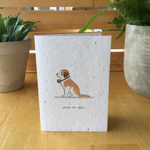 St. Bernard Dog Card Seed Card (Caption)