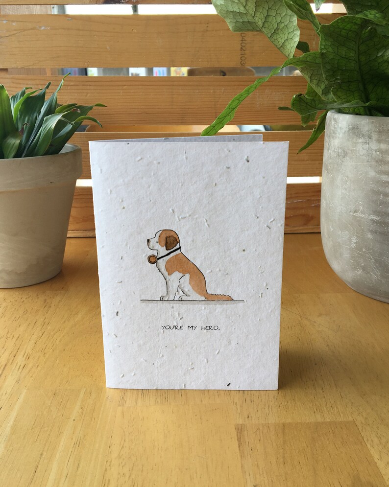 St. Bernard Dog Card Seed Card (Caption)