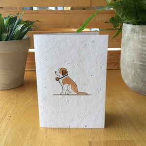 St. Bernard Dog Card Seed Card (Blank)