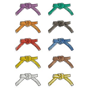Karate, Taekwondo, Judo or MMA Belt card (Multiple Colours Available!) and Custom Text image 6