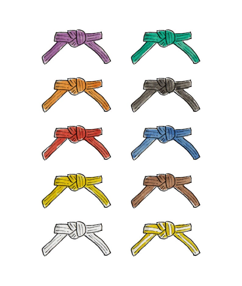 Karate, Taekwondo, Judo or MMA Belt card (Multiple Colours Available!) and Custom Text image 6