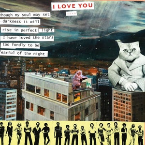 I Have Loved the Stars