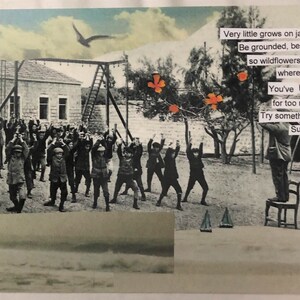 May include: A black and white photo of a group of children with their arms raised in the air. The children are standing in a schoolyard with a building in the background. The photo is overlaid with a collage of orange flowers and text that reads: "Very little grows on jagged rock. Be grounded, be crumbled, so wildflowers will come up where you are. You've been stoney for too many years. Try something different. Surrender."