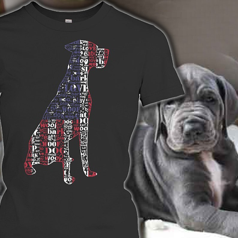 dane shirt