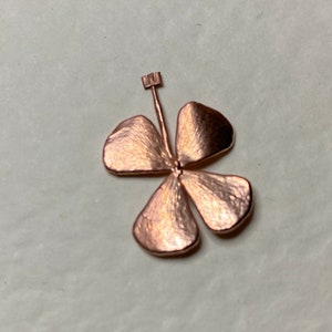 Four leaf clover, Real four leaf clover, broochs, pendants